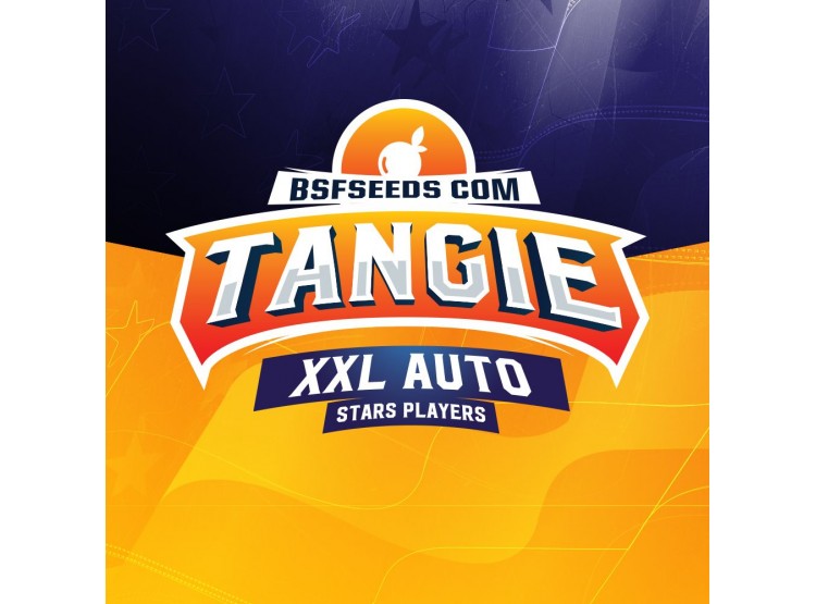 Tangie Xxl Auto 12 Semillas Bsf Seeds - BSF Seeds