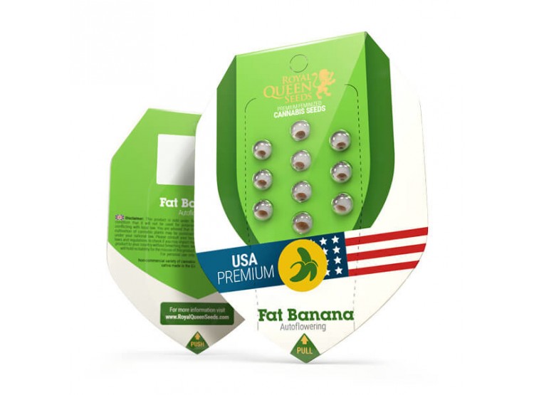 Fat Banana 1 Automatic Semilla RQS - Royal Queen Seeds