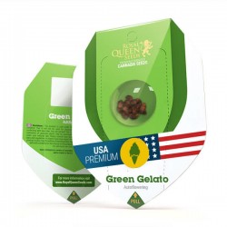 Green Gelato Automatic 1 Semillas RQS