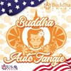 Auto Tangie 3 Semillas Buddha USA Collection - Buddha seeds