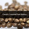 Cream Caramel Fast Version Feminizada A Granel - Semillas a Granel Chile