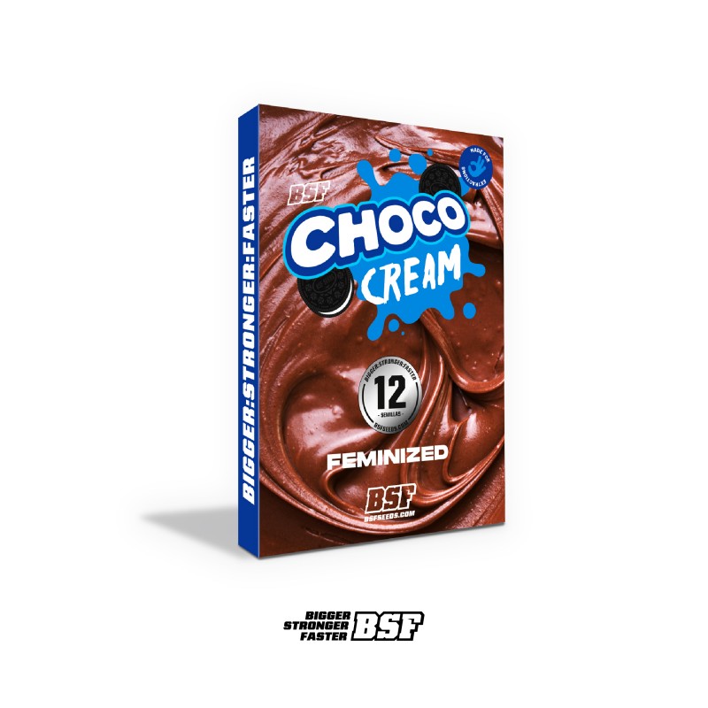 Choco Cream 12 Semillas Bsf Seeds - BSF Seeds